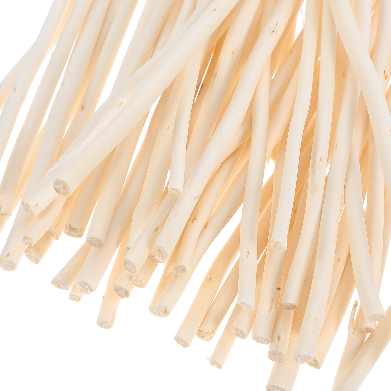 50Pcs Dried Dragon Willow Bran - Branch Curly Willow recensie en prijs