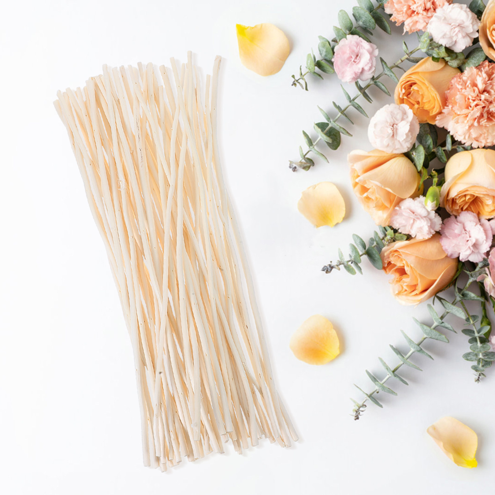 50Pcs Dried Dragon Willow Bran - Branch Curly Willow recensie en prijs