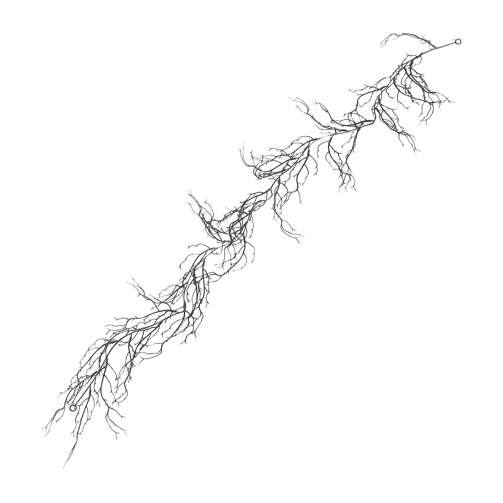 Black Curly Willow Branches Ar - Branch Curly Willow recensie en prijs
