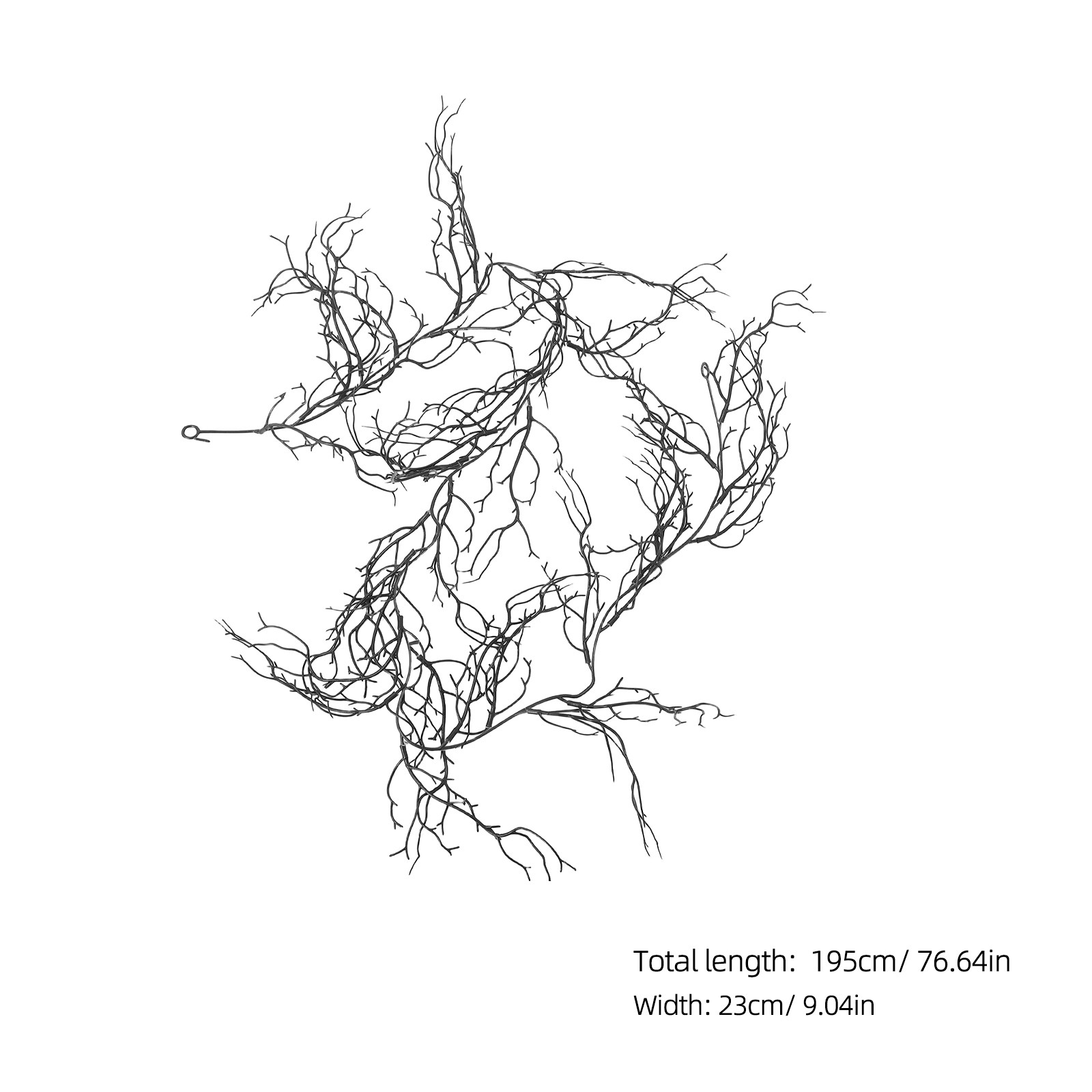 Black Curly Willow Branches Ar - Branch Curly Willow recensie en prijs
