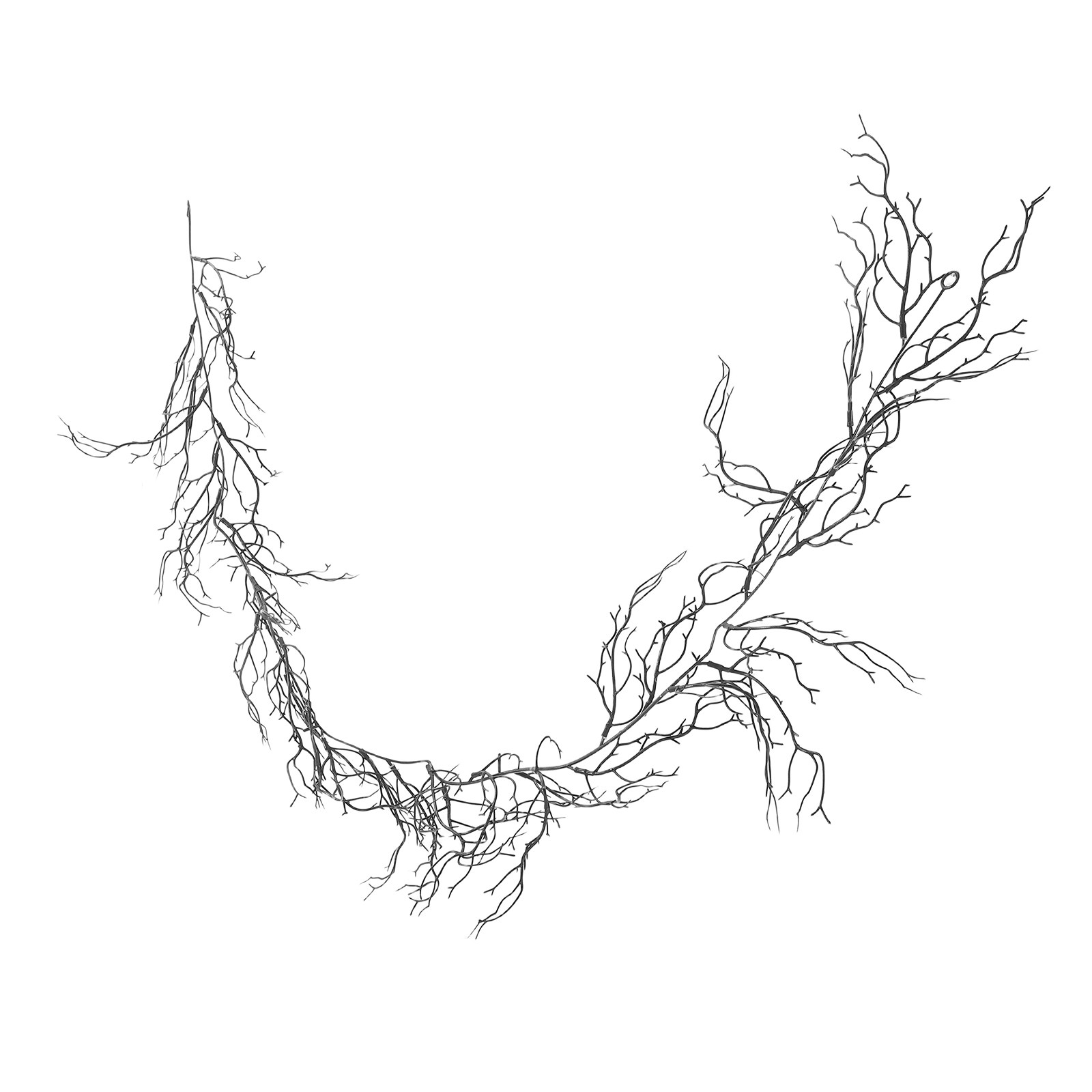 Black Curly Willow Branches Ar - Branch Curly Willow recensie en prijs