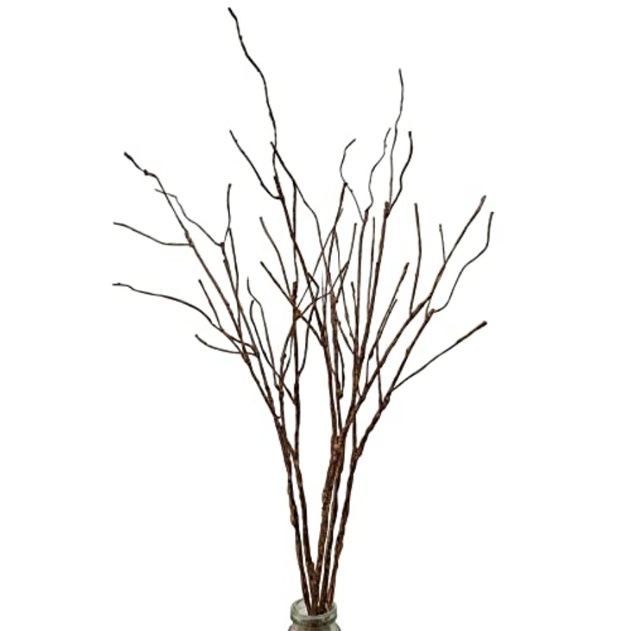 5PCS Artificial Lifelike Curly - Branch Curly Willow recensie en prijs