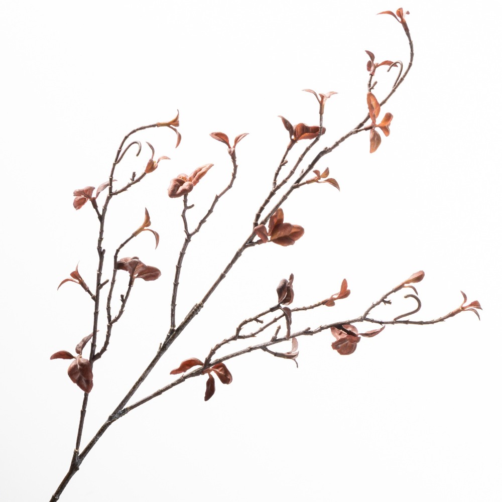 Real Touch Artificial Willow D - Branch Curly Willow recensie en prijs