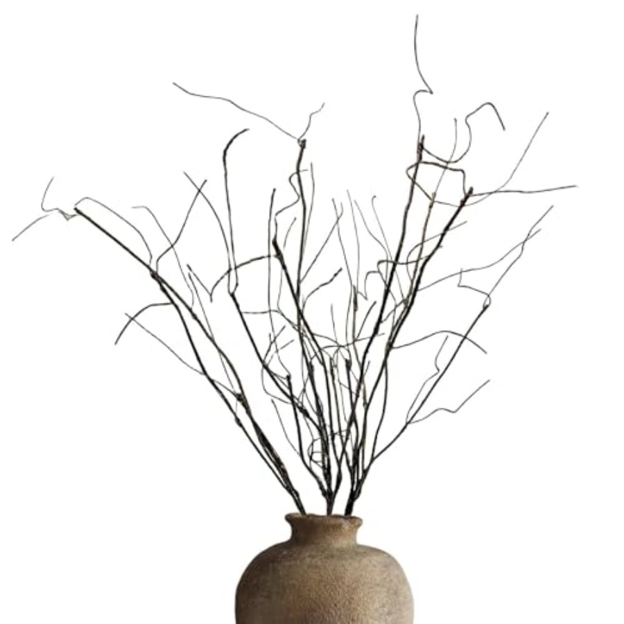 Bendable Curly Willow Branches - Branch Curly Willow recensie en prijs