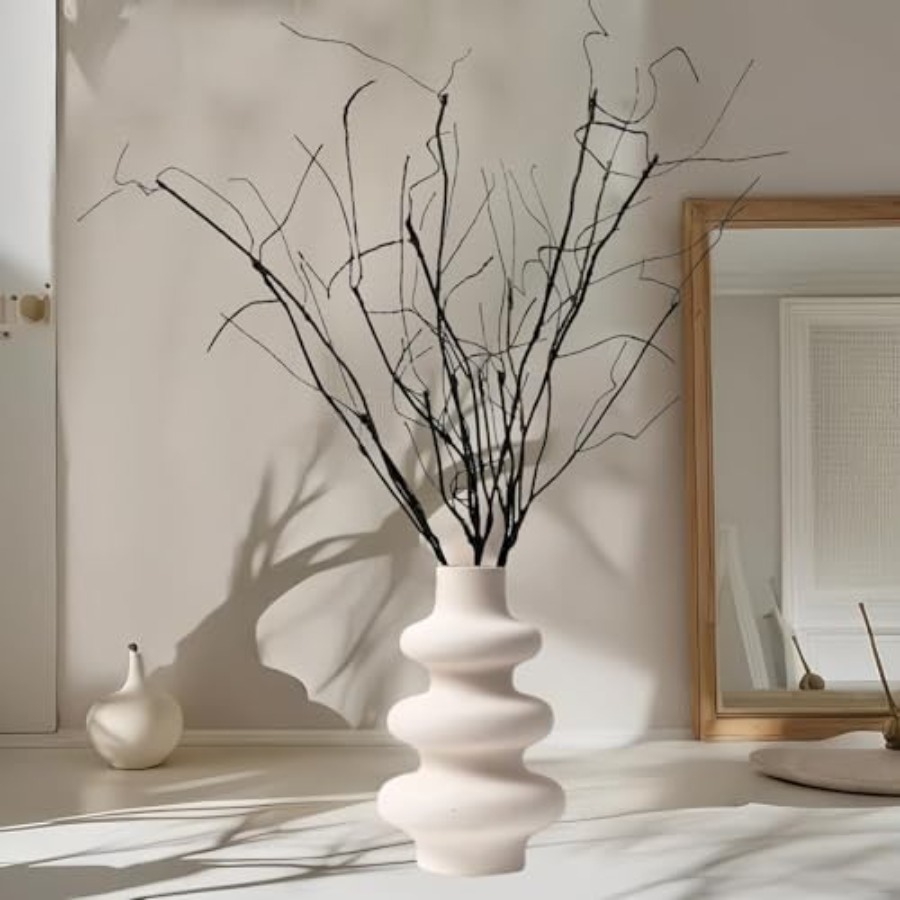 Bendable Curly Willow Branches - Branch Curly Willow recensie en prijs