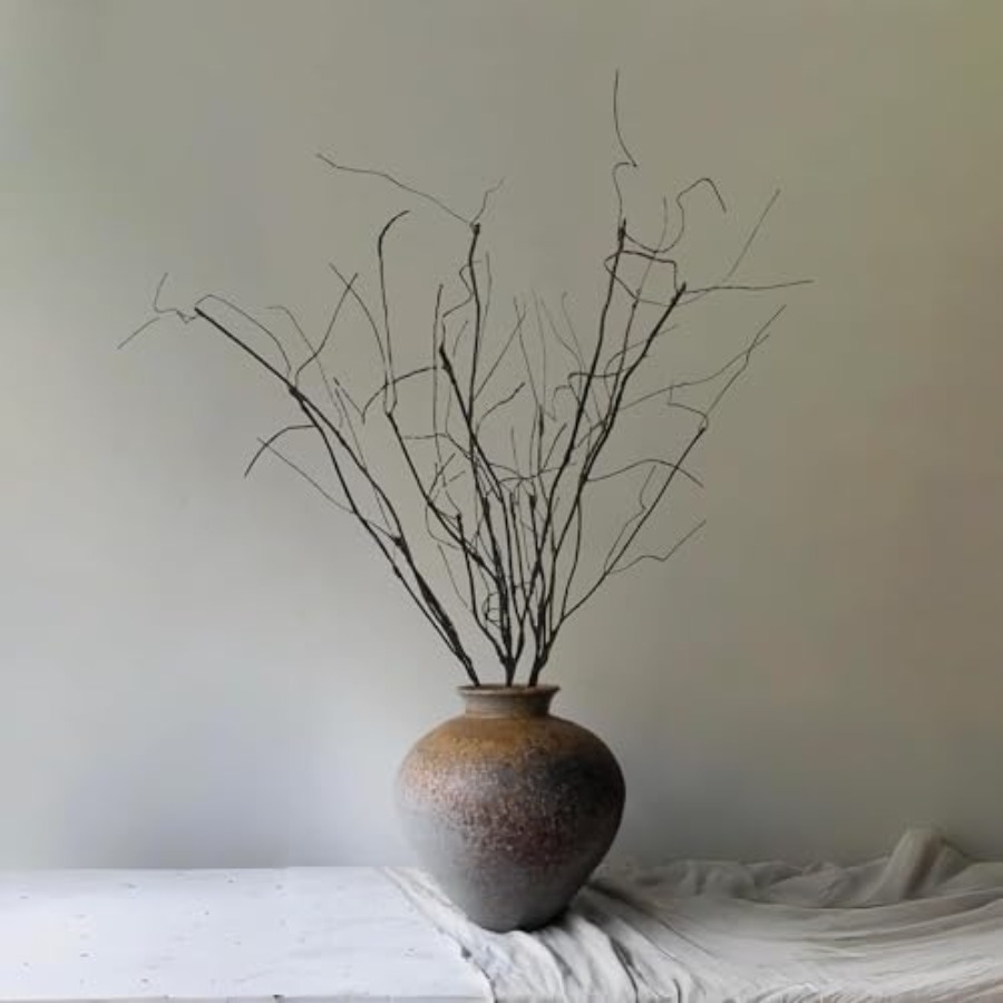 Bendable Curly Willow Branches - Branch Curly Willow recensie en prijs
